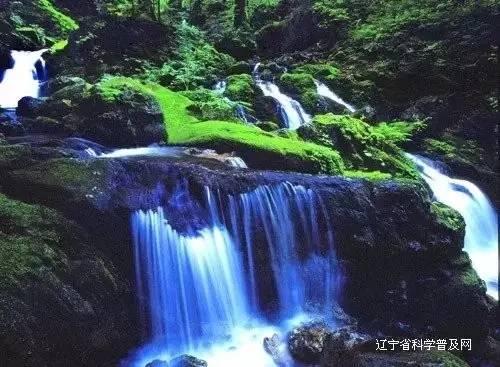 企鹅回城5之飞渡横木